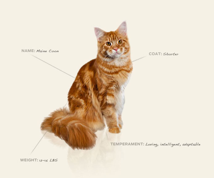 Вредные продукты и вещества