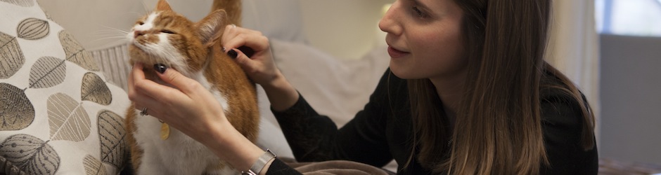 Основные этапы жизни