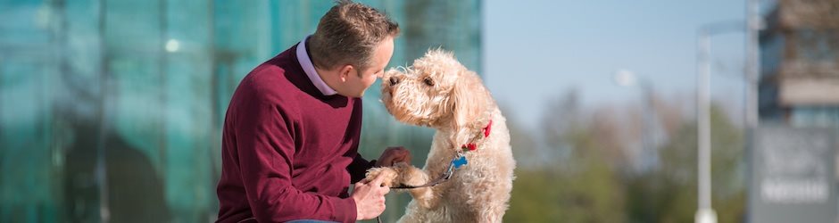 Основные этапы жизни собаки