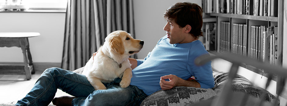 Осложнения после родов у собак