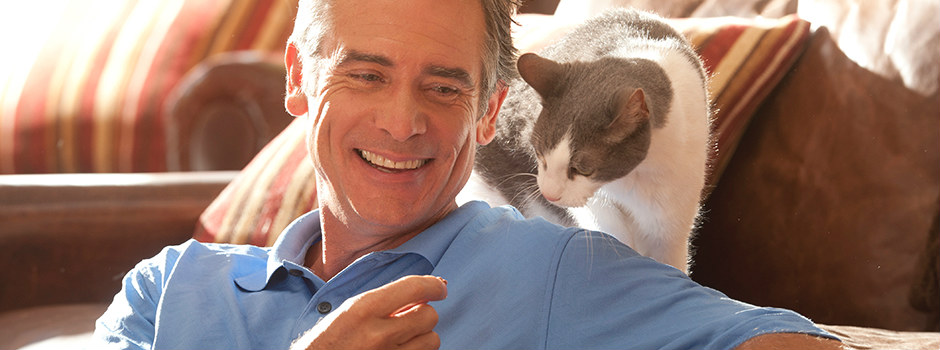 Cat behind owner's shoulder