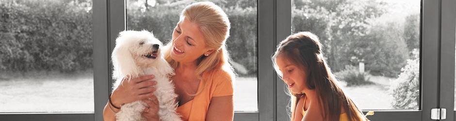 Приобретение собаки