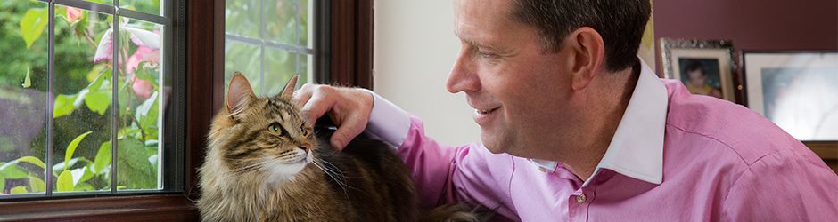 Приобретение кошки