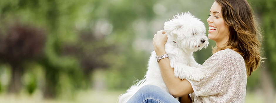 Корма Пурина: бренды для собак