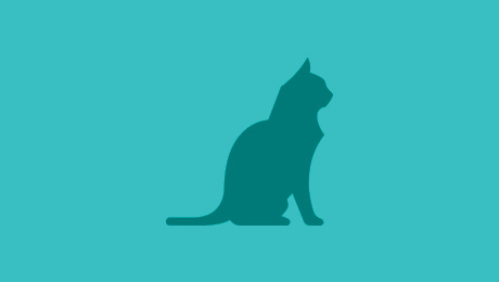 Green cat icon