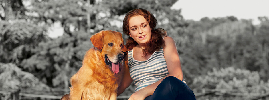 Роды у собак