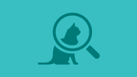 Magnifying glass with cat icon