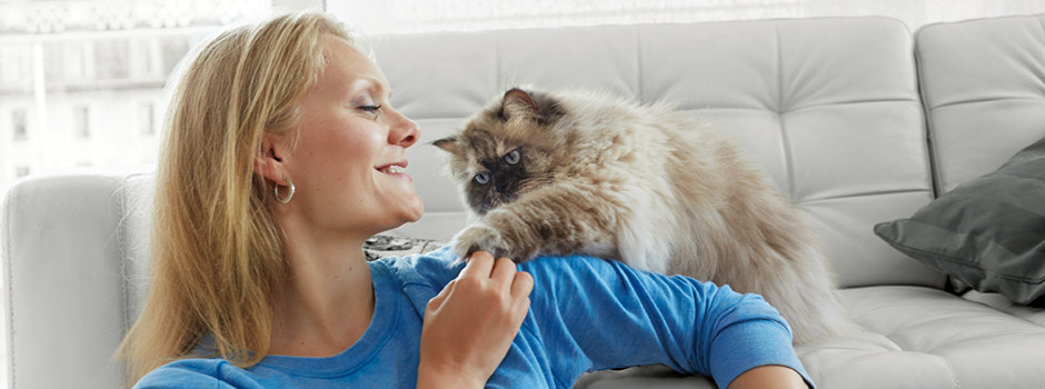 Persian cat and owner