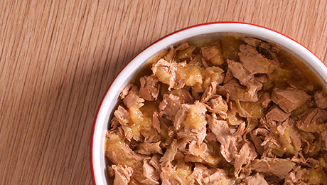 Bowl of Felix wet chicken kitten food