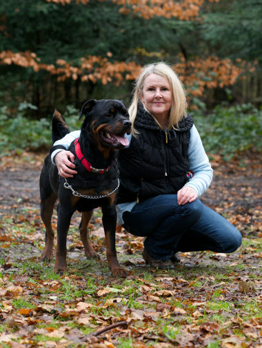 Yellow cat on weighing scale looking at owner