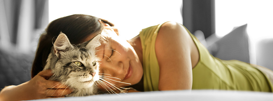 Person napping with cat