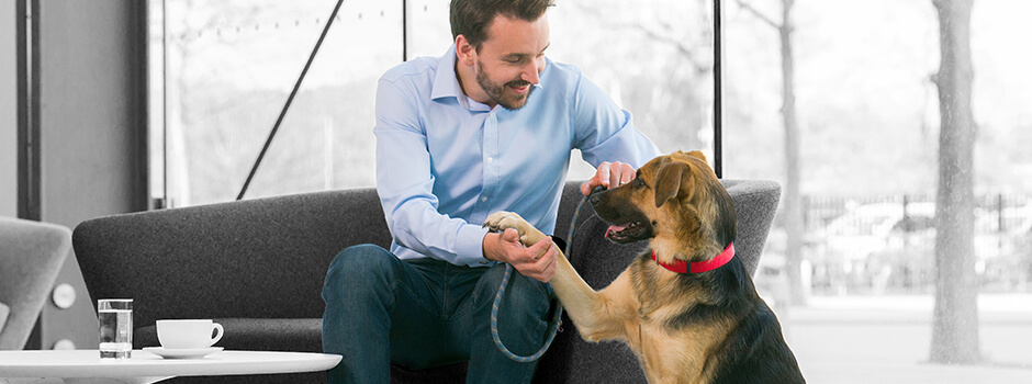 Что входит в состав корма для домашних животных PURINA®