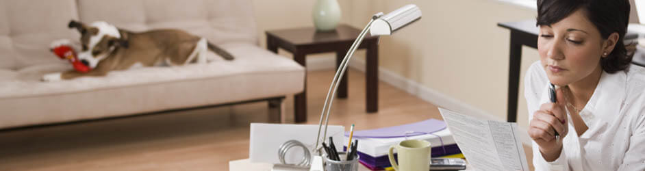 Животные на рабочем месте - с чего начать