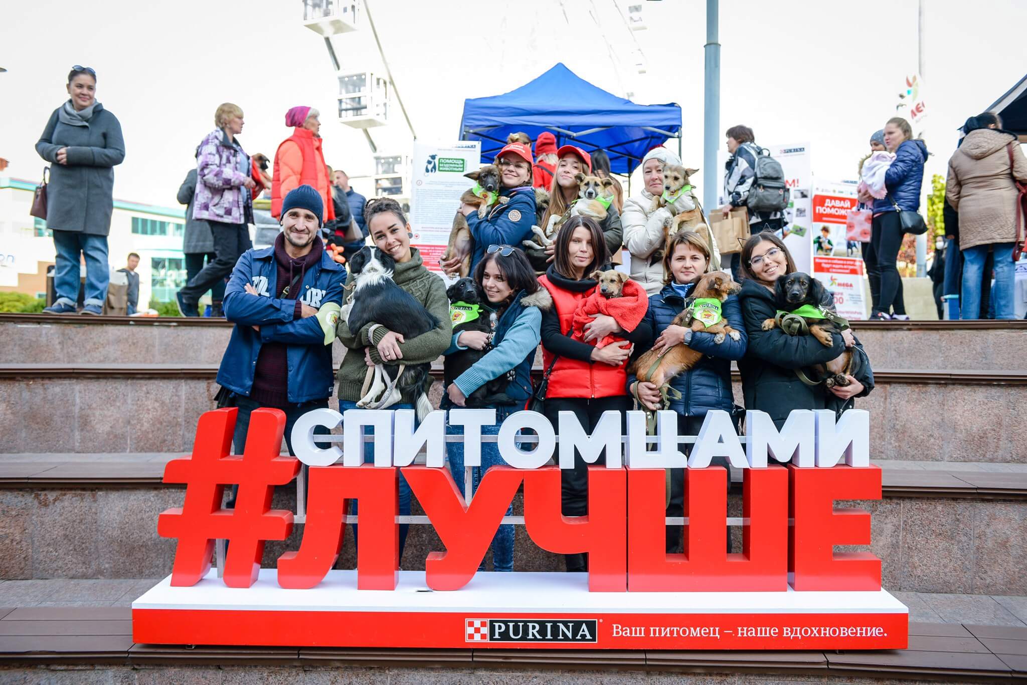 Приют для собак и кошек