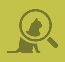 Зелёный значок кошки и увеличительного стекла