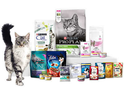 Корма Пурина для кошек