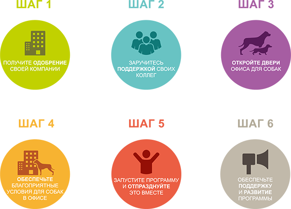 ДОМАШНИЕ ЖИВОТНЫЕ НА РАБОЧЕМ МЕСТЕ