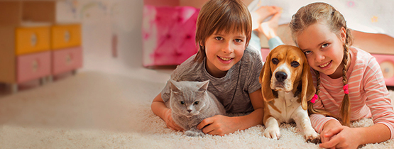 Мы - твои друзья