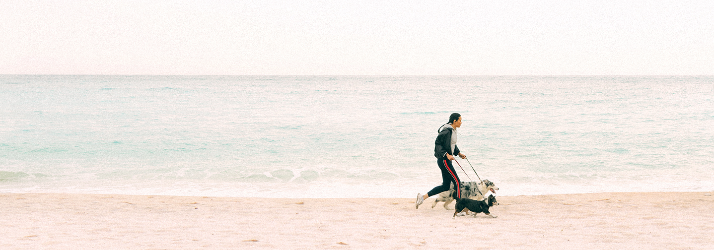 Наши обязательства