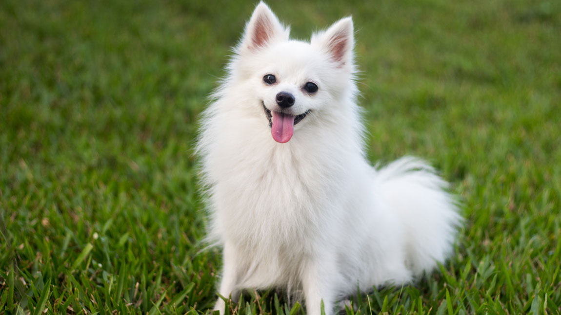 Самые красивые и легкие