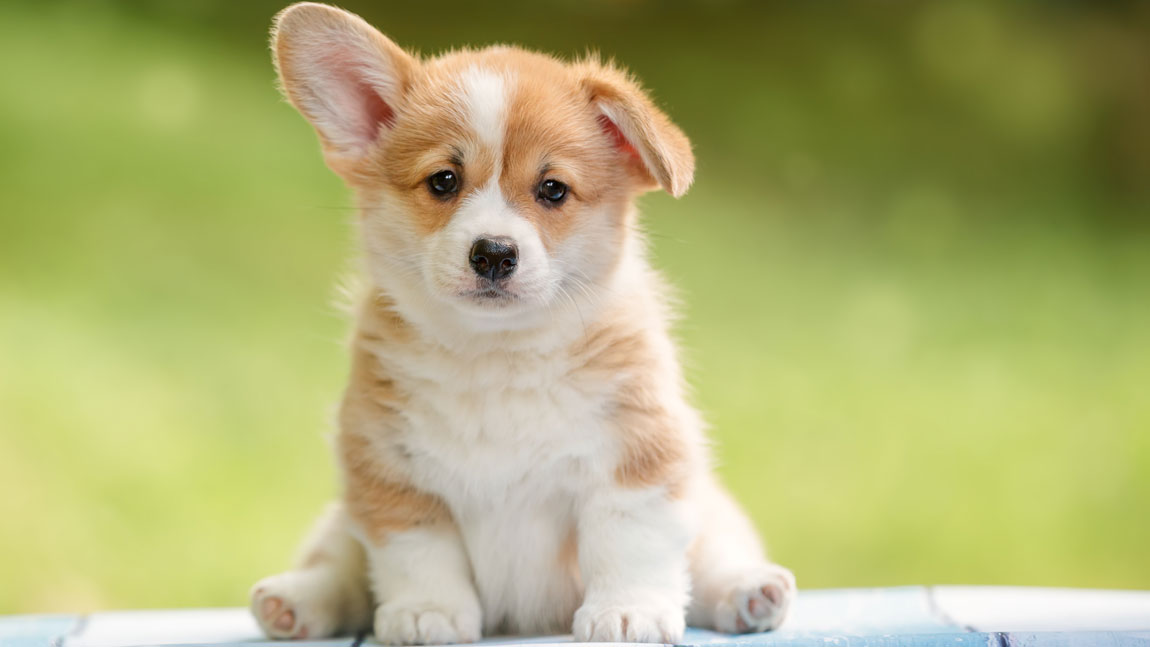 Имена по алфавиту