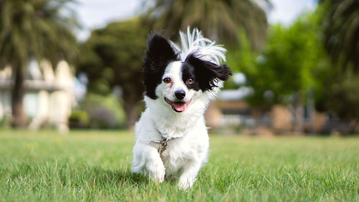 Имена по алфавиту