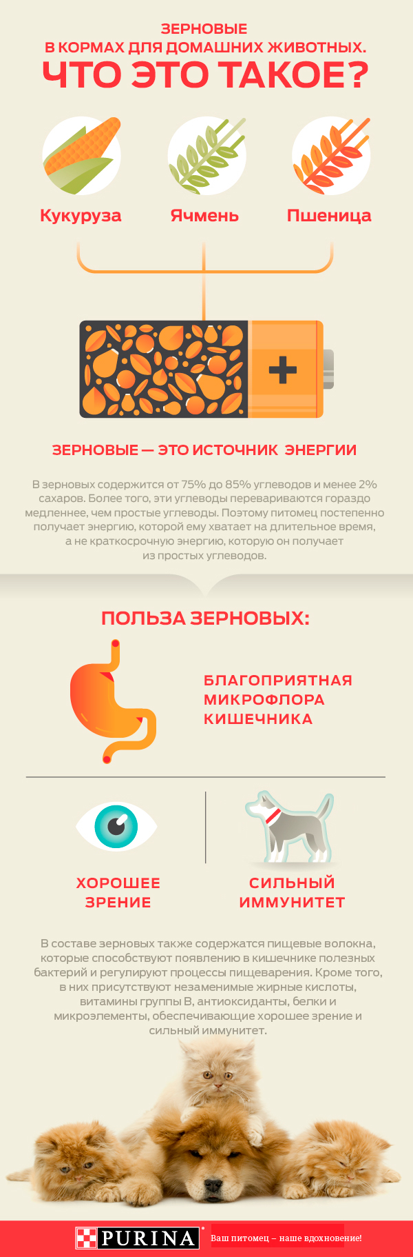 Зерновые в кормах