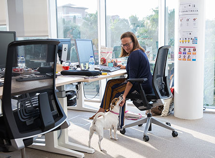 Домашние животные в офисах Purina