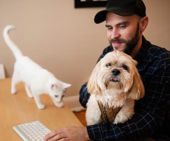 SHOULD I GET A CAT OR A DOG