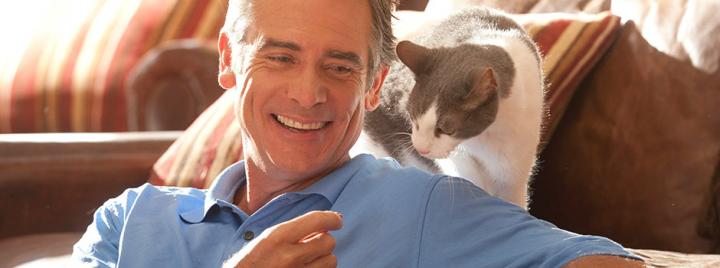 Cat behind owner's shoulder