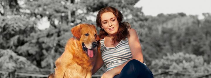 Роды у собак