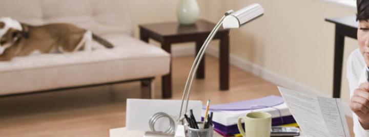 Животные на рабочем месте - с чего начать