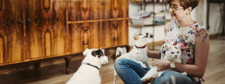 Коронавирус и домашние животные: что нужно знать?