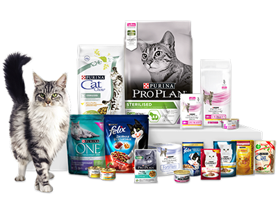 Наши бренды для кошек