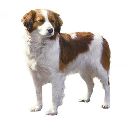 Коикерхондье